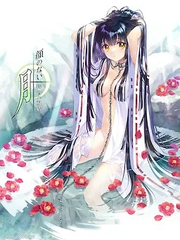 无颜之月-待宵双椿 无颜之月-待宵双椿 游戏攻略大全 封面图